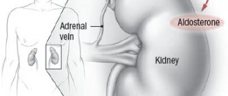 Альдостерон вырабатывается в надпочечниках