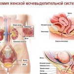 частые позывы к мочеиспусканию у женщин