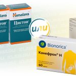 Цистон и Канефрон