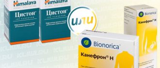 Цистон и Канефрон