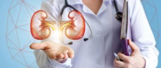 Диета при песке в почках: диета, правильное питание, разрешенные и запрещенные продукты