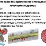Геморрагическая лихорадка с почечным синдромом