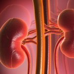 Инструкция по применению таблеток «цистон»