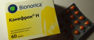 Канефрон при беременности 1-2-3 триместр. Инструкция по применению