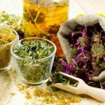 Мочегонные травы для похудения