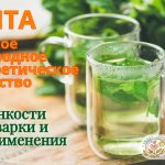 Мята мочегонная или нет