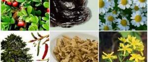 Folk remedies for frequent urination in men