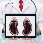 обследование почек