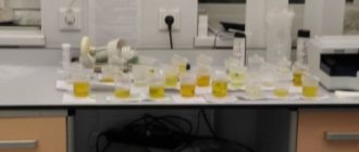 Опасен ли стафилококк в моче