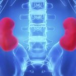 Польза винограда в лечении почек