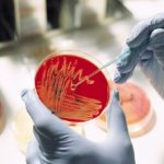 Посев на бактерии