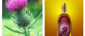 milk thistle for depression and neurosis