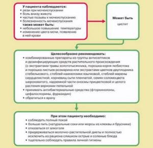 Карта вызова хронический цистит обострение