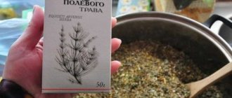 The best remedy for stones and sand in the kidneys is horsetail.