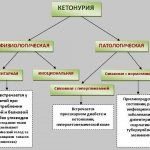 схема кетоноурии