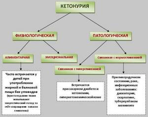 схема кетоноурии