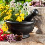 Урологические сборы при пиелонефрите