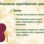 Запах - одна из хакартеристик урины